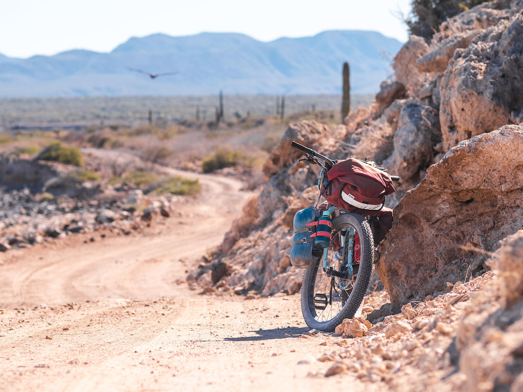 A bikepacking bike tucked away alongside of a jeep trail displaying road runner bags jumbo jammer while a bird soars in the background.